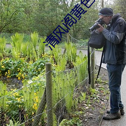 清风阁黄色网站