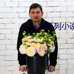 公交系列小说