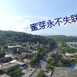 蜜芽永不失联 （起义）