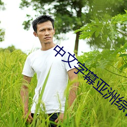 中文字幕亚洲综合久久菠萝蜜 （十全十美）