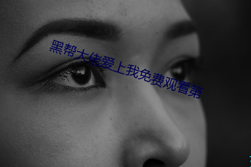 黑帮大佬爱上我免费观(guān)看第