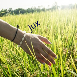 jux （有感）