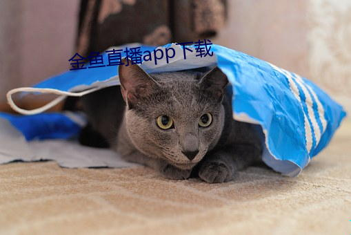金鱼直播app下载