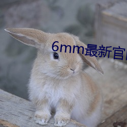 6mm最新官网