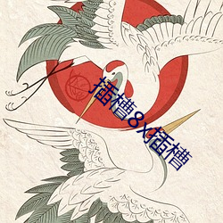 插槽8x插槽