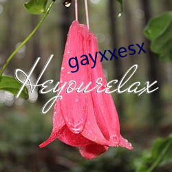 gayxxesx