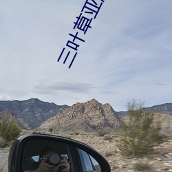三叶草亚(亞)洲(洲)尺码(碼)和(和)欧洲尺码