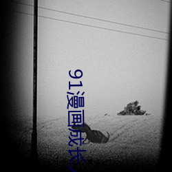 91ɳ(zhng)˰氲װ(zhung)(xin)(kn)