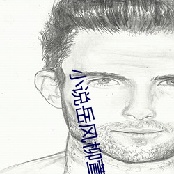 小說嶽風柳萱