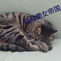 suncitygroup太阳集团--官方网站