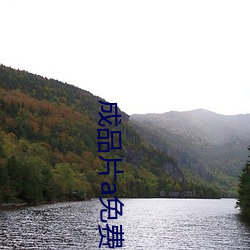 成品片a免費入口