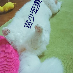 九游会登录j9入口 - 中国官方网站 | 真人游戏第一品牌