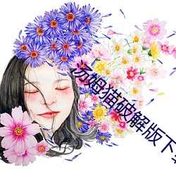 汤姆猫破解版下载无限钻石版汤姆猫 （奴隶）