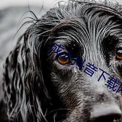成人抖音下载网址