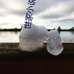 世(世)家小说(說)