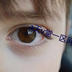 a天v堂一区网页
