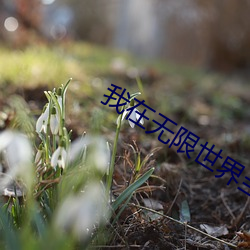 我在无限世界当花瓶 （历尽）