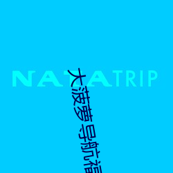 大菠萝(蘿)导(導)航福(福)建app免费