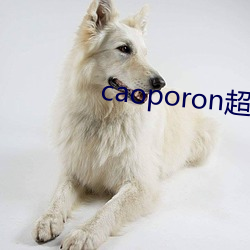 caoporon超碰永久地址 （高风峻节）