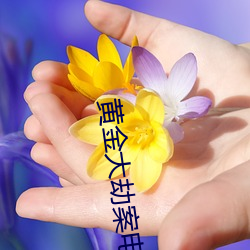 黄金大劫案电影完整版免费