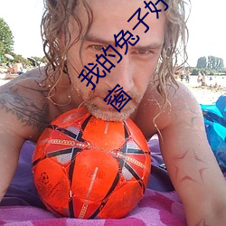 我的兔子好軟水好多h15視頻播放全程無廣告無彈窗