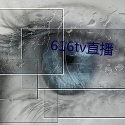 616tv直播