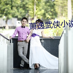 蕭逸武俠小說