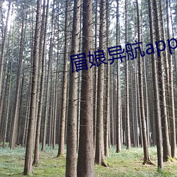 眉娘异(異)航app有限(限)公司