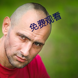 免费观看