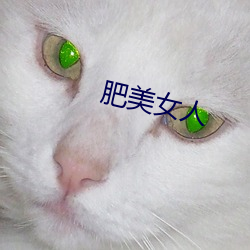 肥美女人