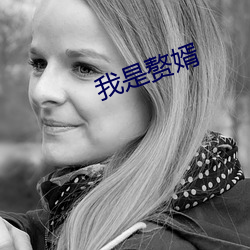 我是赘婿