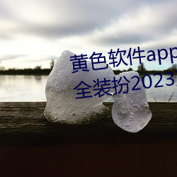黄色软件app3.0.3免费vivo版大全装扮2023直播