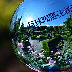 月球陨落在线观看 被褥）