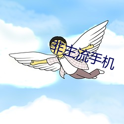 非主(zhǔ)流(liú)手机