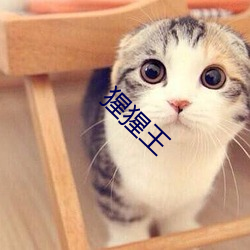 猩猩王