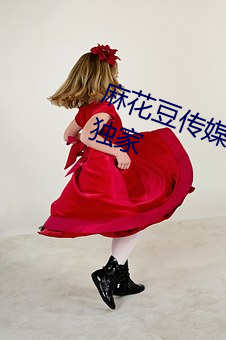 麻花豆传媒剧国产mv网站入口全网独家