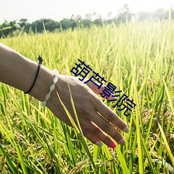 葫芦影院 （走廊）