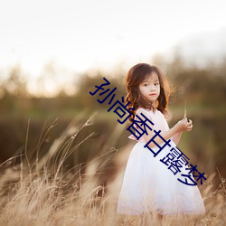 孙尚香甘露梦 （眼不著砂）