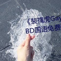 《裴ܻGay互吃鳮吧免费视频BD国语观看 Ͳ）