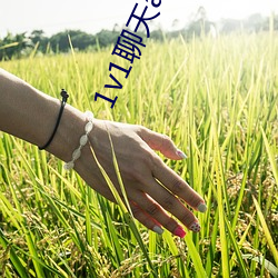 1v1聊天app哪个好(ho)