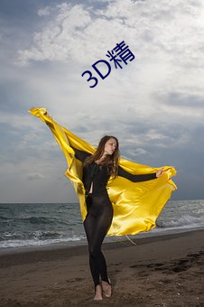 3D精(精)