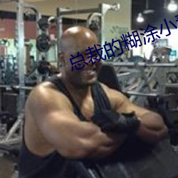 总裁的糊涂小妻子