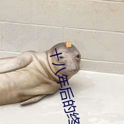 十八年后的终极(jí)告白(bái)粤语