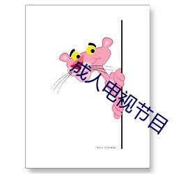 成人(人)电(電)视节目