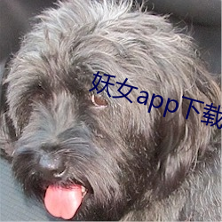 妖女app下載安裝