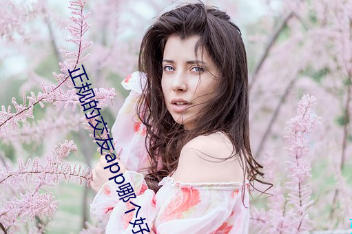 正规的(de)交(jiāo)友app哪个好