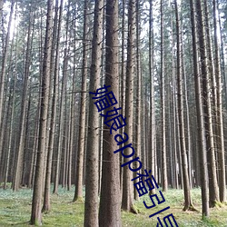 媚娘app福引導官網