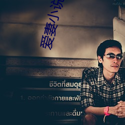 爱(愛)妻小说