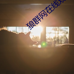狼群网在(在)线(線)观(觀)看