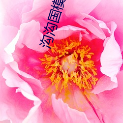 沟沟国(guó)模